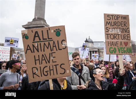 animal rights activists uk